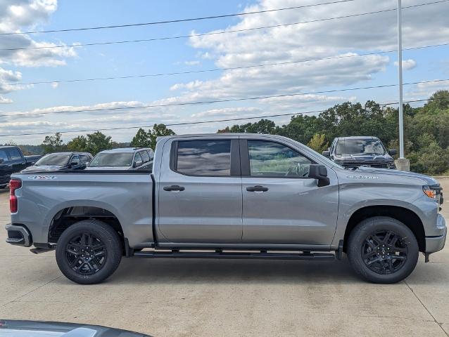 2024 Chevrolet Silverado 1500 Vehicle Photo in POMEROY, OH 45769-1023