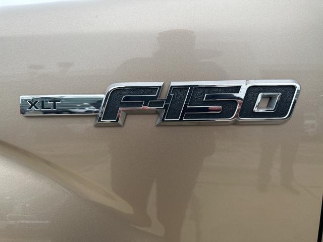 2014 Ford F-150 Vehicle Photo in Terrell, TX 75160