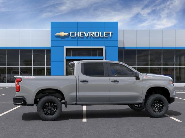 2024 Chevrolet Silverado 1500 Vehicle Photo in AMARILLO, TX 79106-1809