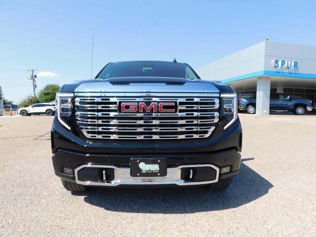 2025 GMC Sierra 1500 Vehicle Photo in Weatherford, TX 76087