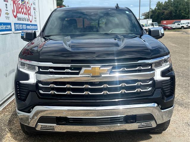 2024 Chevrolet Silverado 1500 Vehicle Photo in DUNN, NC 28334-8900