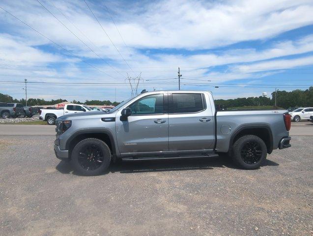 2025 GMC Sierra 1500 Vehicle Photo in ALBERTVILLE, AL 35950-0246