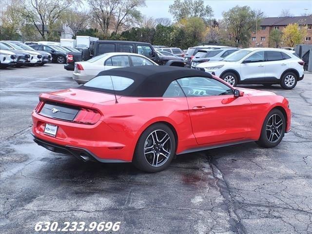 2019 Ford Mustang Vehicle Photo in Saint Charles, IL 60174