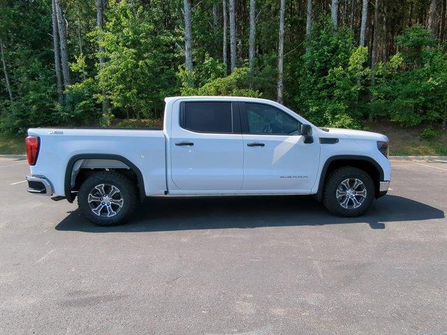 2024 GMC Sierra 1500 Vehicle Photo in ALBERTVILLE, AL 35950-0246