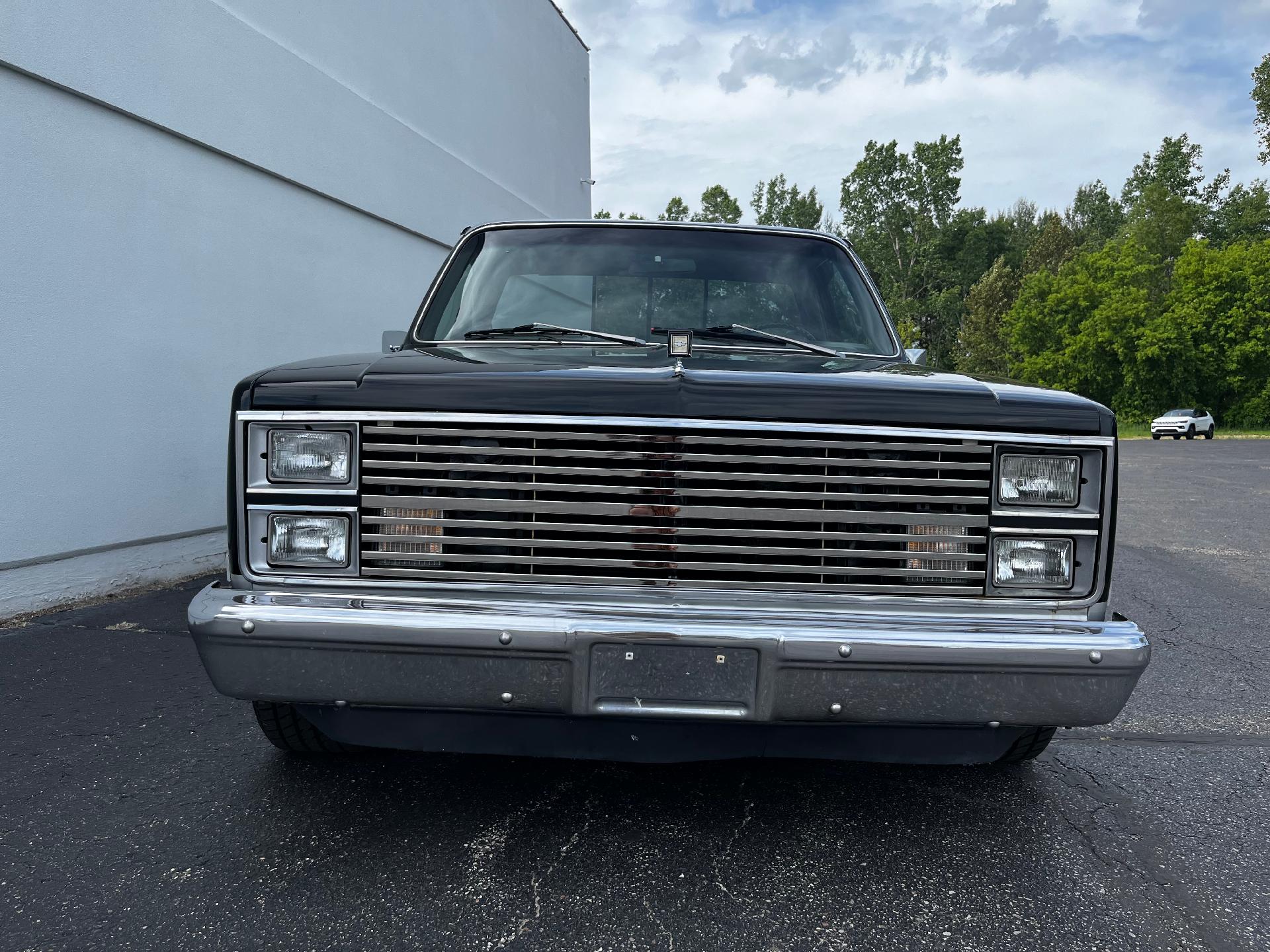 1984 Chevrolet Pickup Vehicle Photo in CLARE, MI 48617-9414