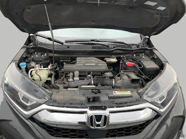 2019 Honda CR-V Vehicle Photo in Oshkosh, WI 54904