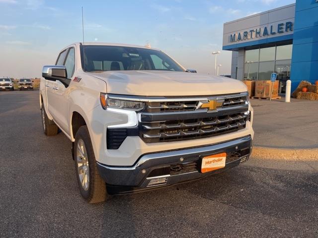 2025 Chevrolet Silverado 1500 Vehicle Photo in GLENWOOD, MN 56334-1123