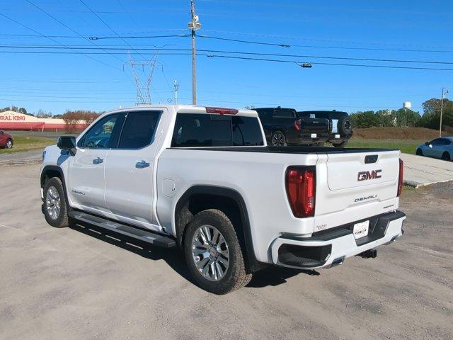 2025 GMC Sierra 1500 Vehicle Photo in ALBERTVILLE, AL 35950-0246