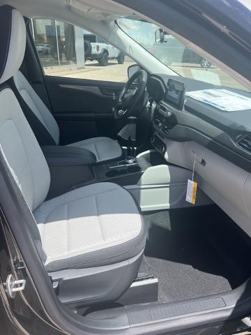 2024 Ford Escape Vehicle Photo in Winslow, AZ 86047-2439