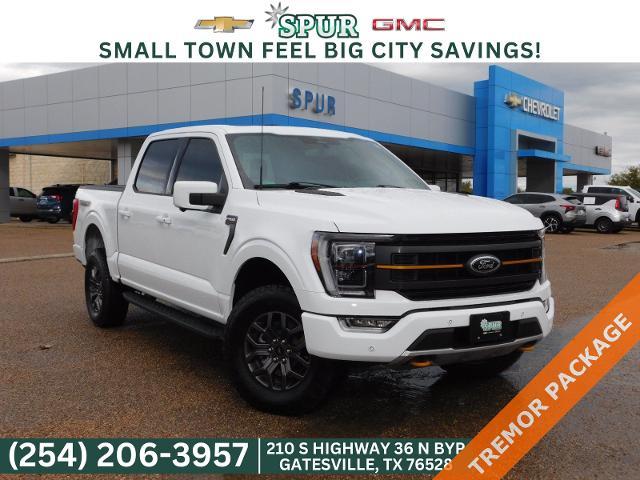 2023 Ford F-150 Vehicle Photo in GATESVILLE, TX 76528-2745