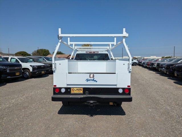 2024 Chevrolet Silverado 2500 HD Vehicle Photo in SELMA, TX 78154-1460