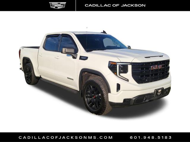 2023 GMC Sierra 1500 Vehicle Photo in RIDGELAND, MS 39157-4406