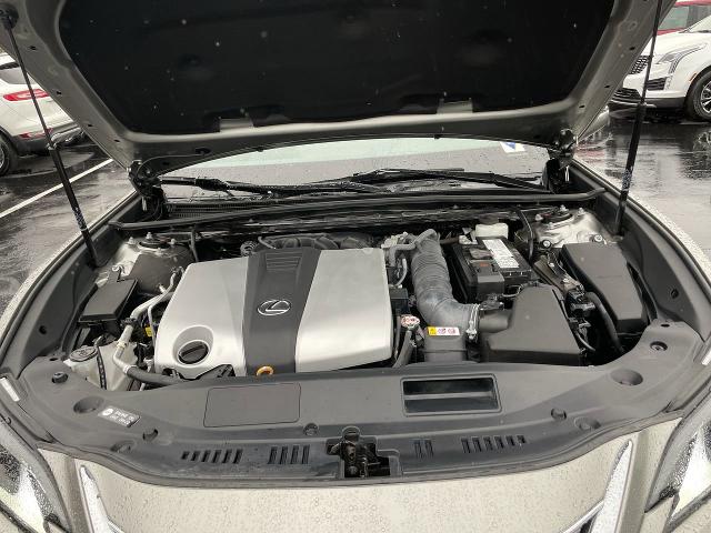 2021 Lexus ES Vehicle Photo in WILLIAMSVILLE, NY 14221-4303