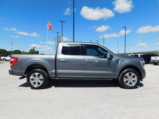 2022 Ford F-150 Vehicle Photo in Gatesville, TX 76528