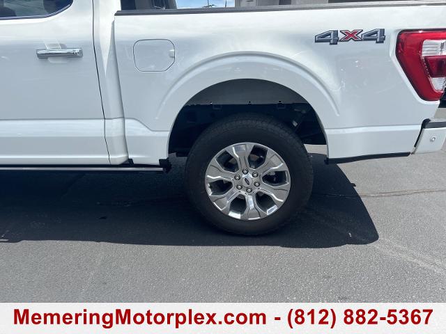 2023 Ford F-150 Vehicle Photo in VINCENNES, IN 47591-5519