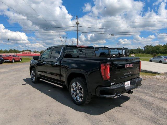 2024 GMC Sierra 1500 Vehicle Photo in ALBERTVILLE, AL 35950-0246