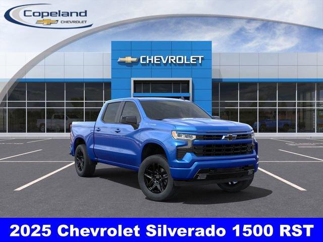 2025 Chevrolet Silverado 1500 Vehicle Photo in BROCKTON, MA 02301-7113