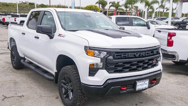 2024 Chevrolet Silverado 1500 Vehicle Photo in VENTURA, CA 93003-8585