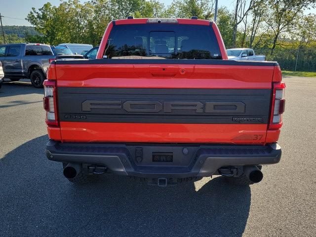 2021 Ford F-150 Vehicle Photo in Boyertown, PA 19512