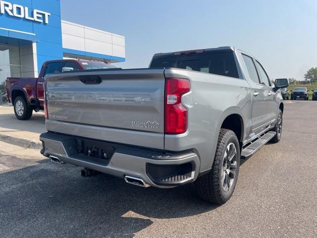 2025 Chevrolet Silverado 1500 Vehicle Photo in GLENWOOD, MN 56334-1123