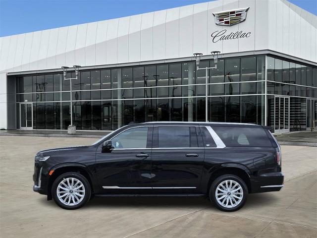 2024 Cadillac Escalade ESV Vehicle Photo in TERRELL, TX 75160-3007