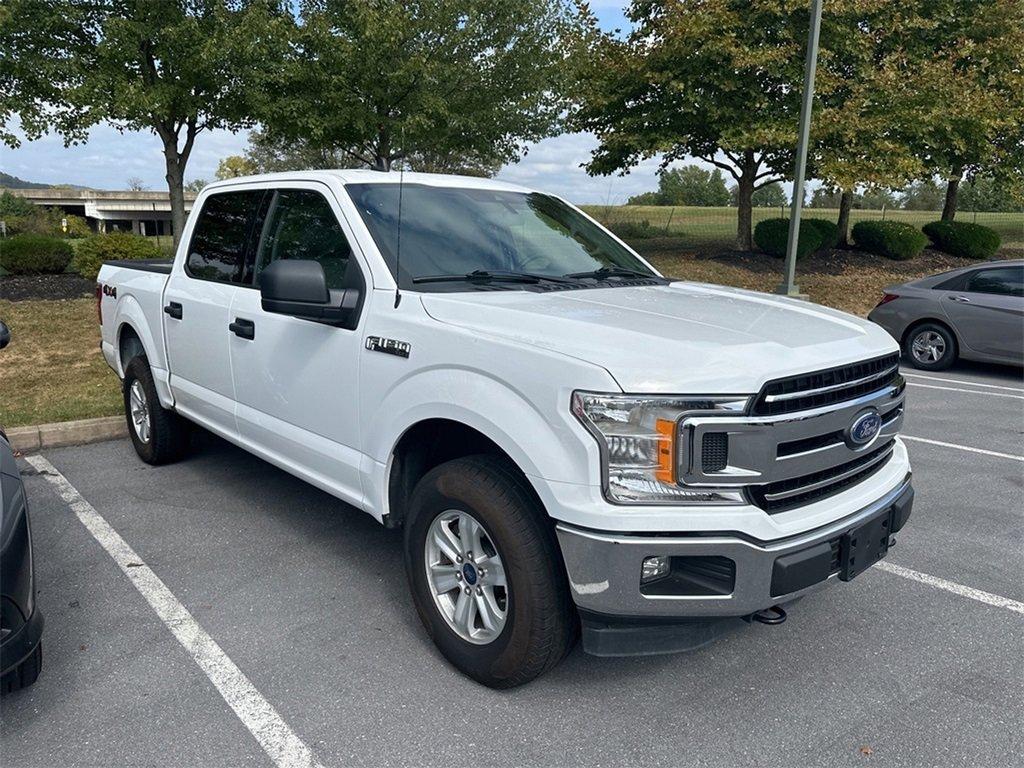 2020 Ford F-150 Vehicle Photo in Muncy, PA 17756