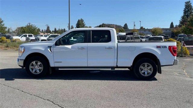 2023 Ford F-150 Vehicle Photo in BEND, OR 97701-5133