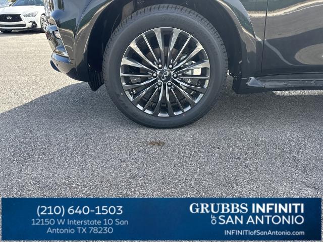 2024 INFINITI QX80 Vehicle Photo in San Antonio, TX 78230