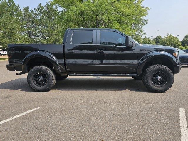 2011 Ford F-150 Vehicle Photo in LITTLETON, CO 80124-2754