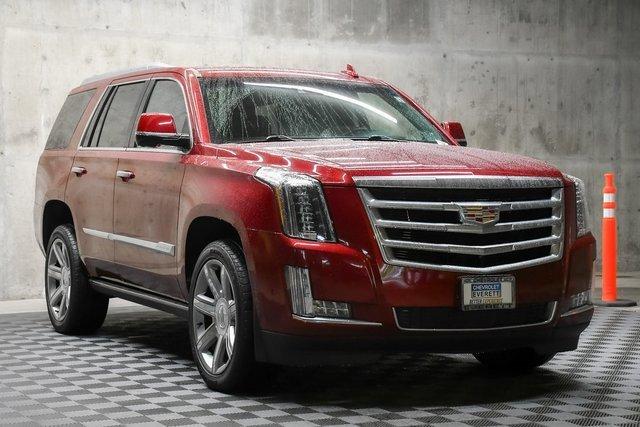 2019 Cadillac Escalade Vehicle Photo in EVERETT, WA 98203-5662