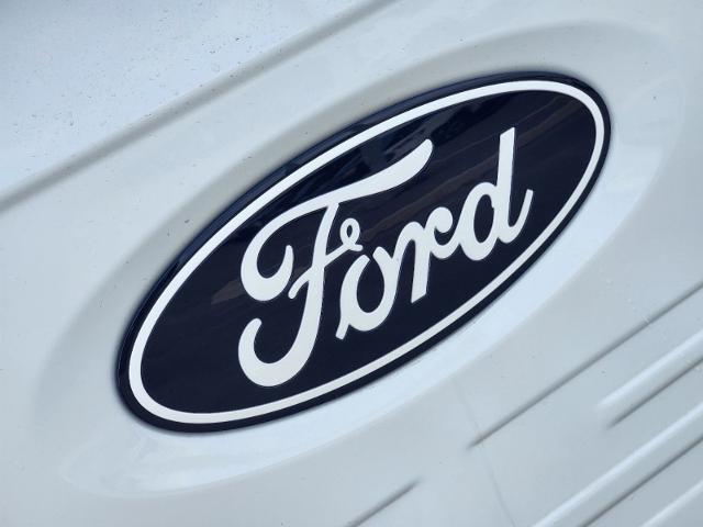 2024 Ford F-150 Vehicle Photo in STEPHENVILLE, TX 76401-3713