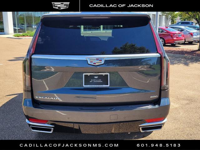 2021 Cadillac Escalade Vehicle Photo in RIDGELAND, MS 39157-4406