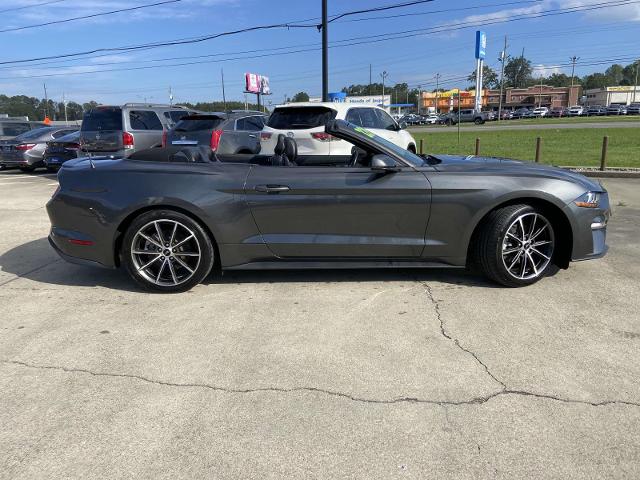 Used 2019 Ford Mustang EcoBoost with VIN 1FATP8UH5K5186699 for sale in Jasper, AL