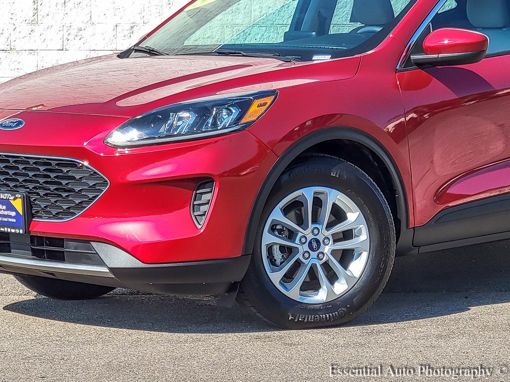 2020 Ford Escape Vehicle Photo in Plainfield, IL 60586