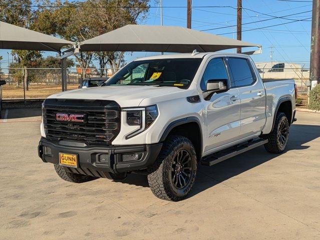 2023 GMC Sierra 1500 Vehicle Photo in SELMA, TX 78154-1459