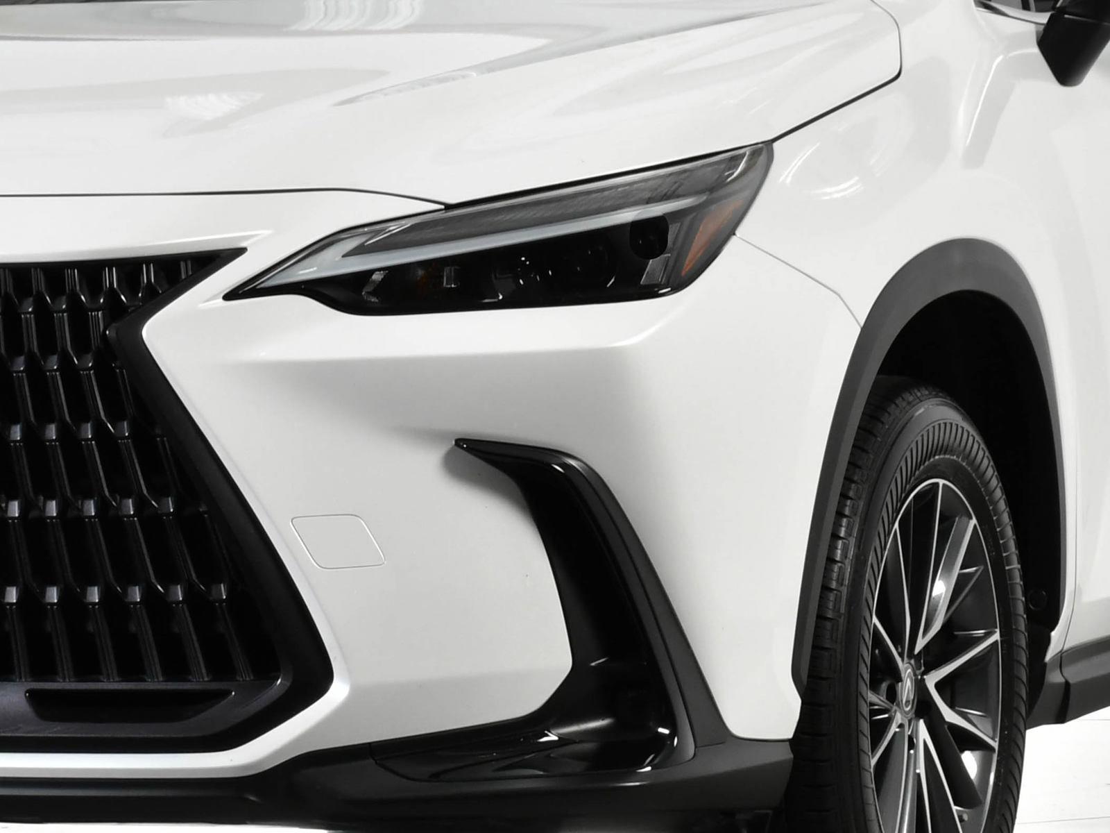 2023 Lexus NX 250 Vehicle Photo in DALLAS, TX 75235