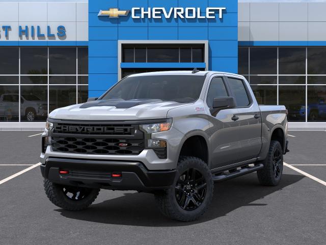 2024 Chevrolet Silverado 1500 Vehicle Photo in FREEPORT, NY 11520-3923