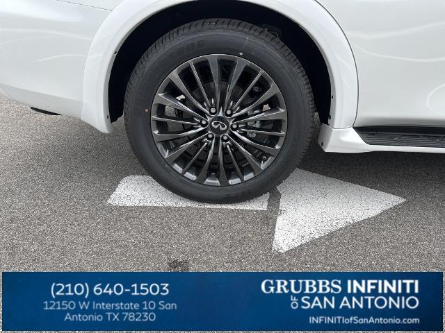 2024 INFINITI QX80 Vehicle Photo in San Antonio, TX 78230