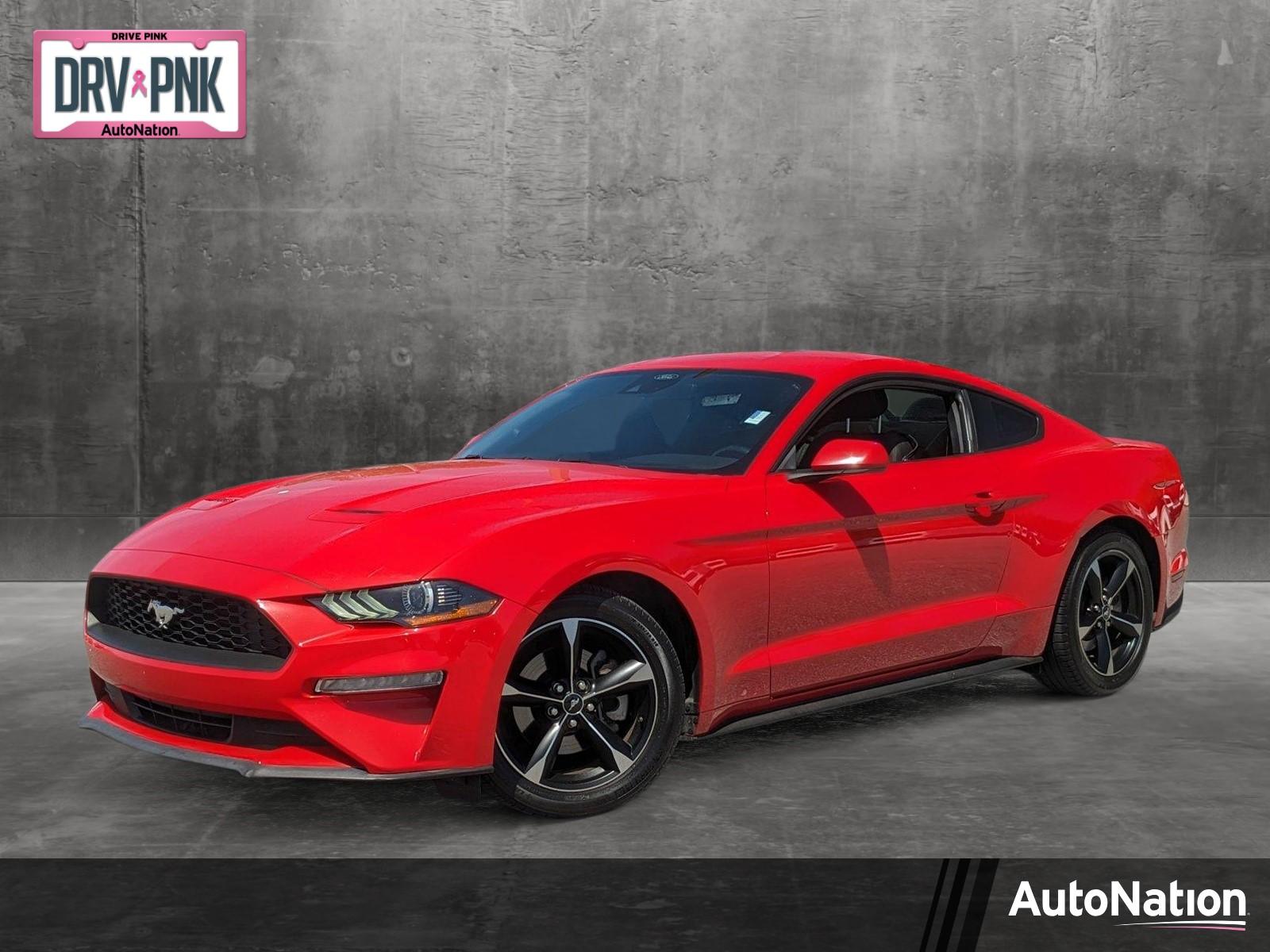 2019 Ford Mustang Vehicle Photo in St. Petersburg, FL 33713