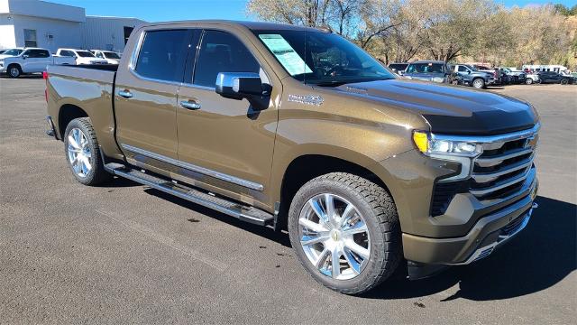 2023 Chevrolet Silverado 1500 Vehicle Photo in FLAGSTAFF, AZ 86001-6214