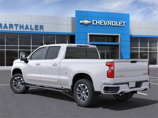 2025 Chevrolet Silverado 1500 Vehicle Photo in GLENWOOD, MN 56334-1123