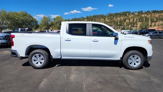 2025 Chevrolet Silverado 1500 Vehicle Photo in FLAGSTAFF, AZ 86001-6214