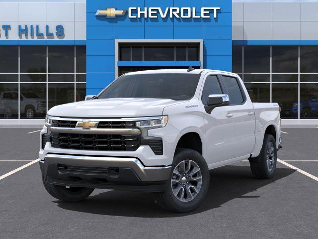 2025 Chevrolet Silverado 1500 Vehicle Photo in FREEPORT, NY 11520-3923