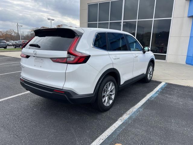 2023 Honda CR-V Vehicle Photo in INDIANA, PA 15701-1897