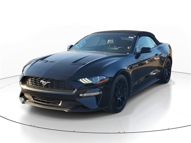 2018 Ford Mustang Vehicle Photo in GRAND BLANC, MI 48439-8139