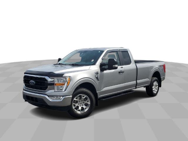2021 Ford F-150 Vehicle Photo in CLEARWATER, FL 33763-2186
