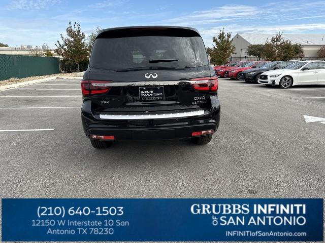 2024 INFINITI QX80 Vehicle Photo in San Antonio, TX 78230