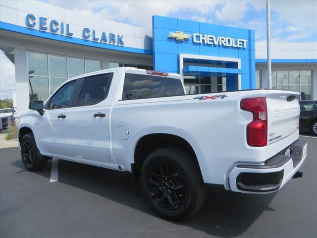 2024 Chevrolet Silverado 1500 Vehicle Photo in LEESBURG, FL 34788-4022