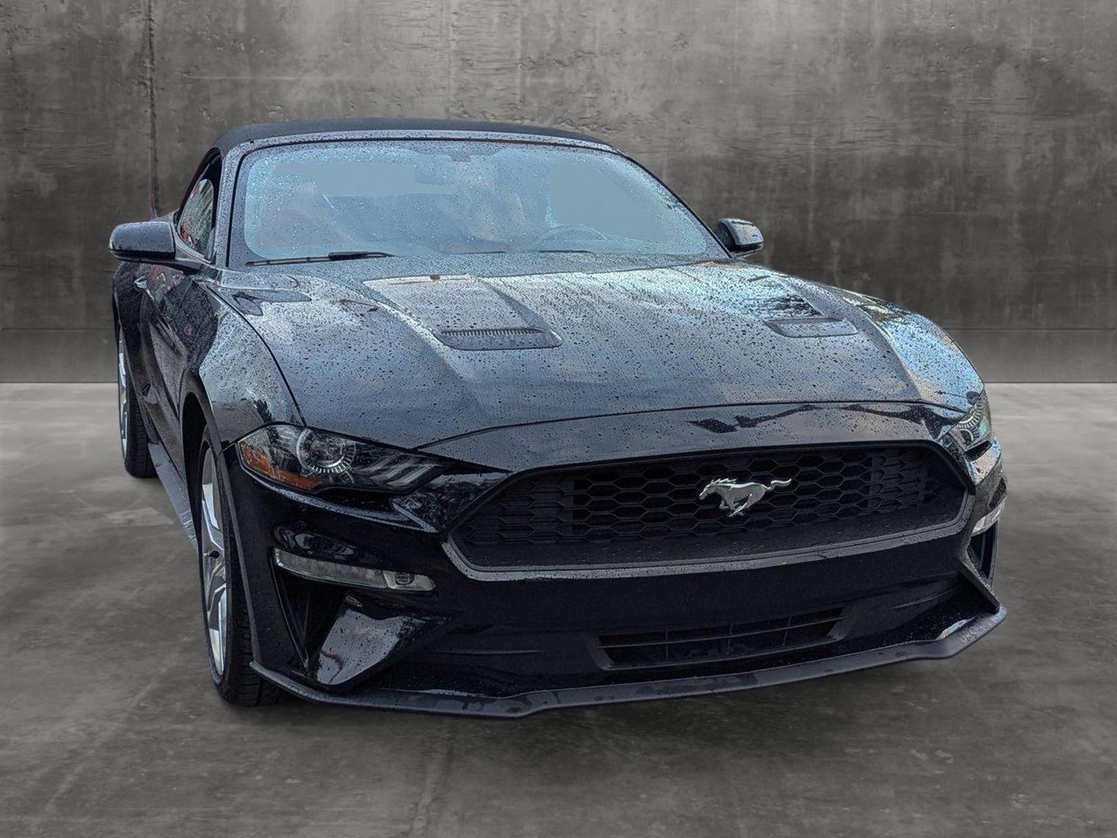 2019 Ford Mustang Vehicle Photo in Miami, FL 33015