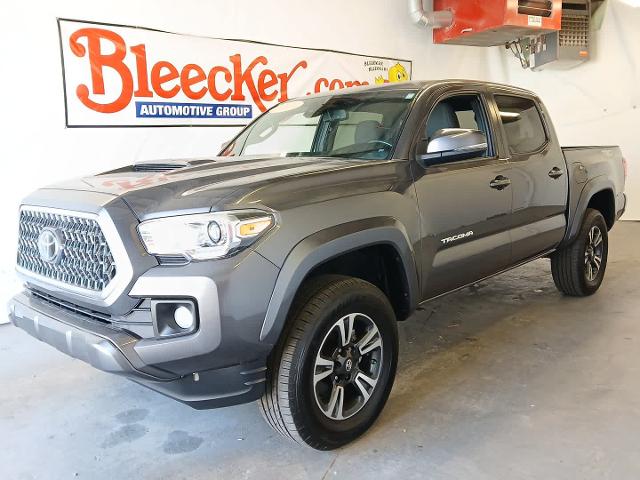 2019 Toyota Tacoma 4WD Vehicle Photo in RED SPRINGS, NC 28377-1640